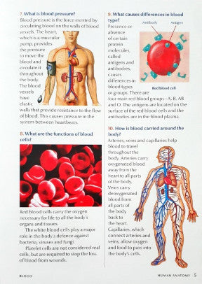 200 Questions and Answers Human Anatomy