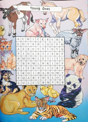 Big Book Of Picture Word Search For Juniors