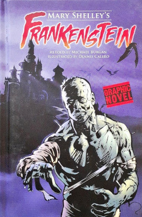 Frankenstein A Graphic Novel