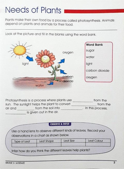 Smart Scholars Science Grade 3 Fun Filled Activities