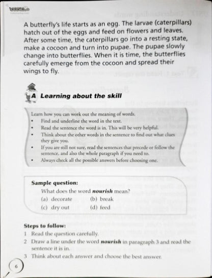 Comprehension Strategies For Success 2