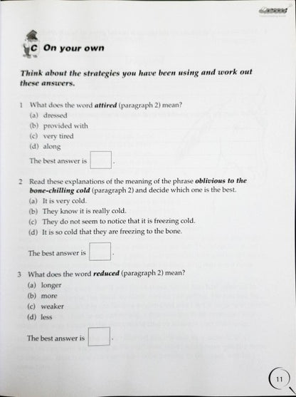 Comprehension Strategies For Success 3