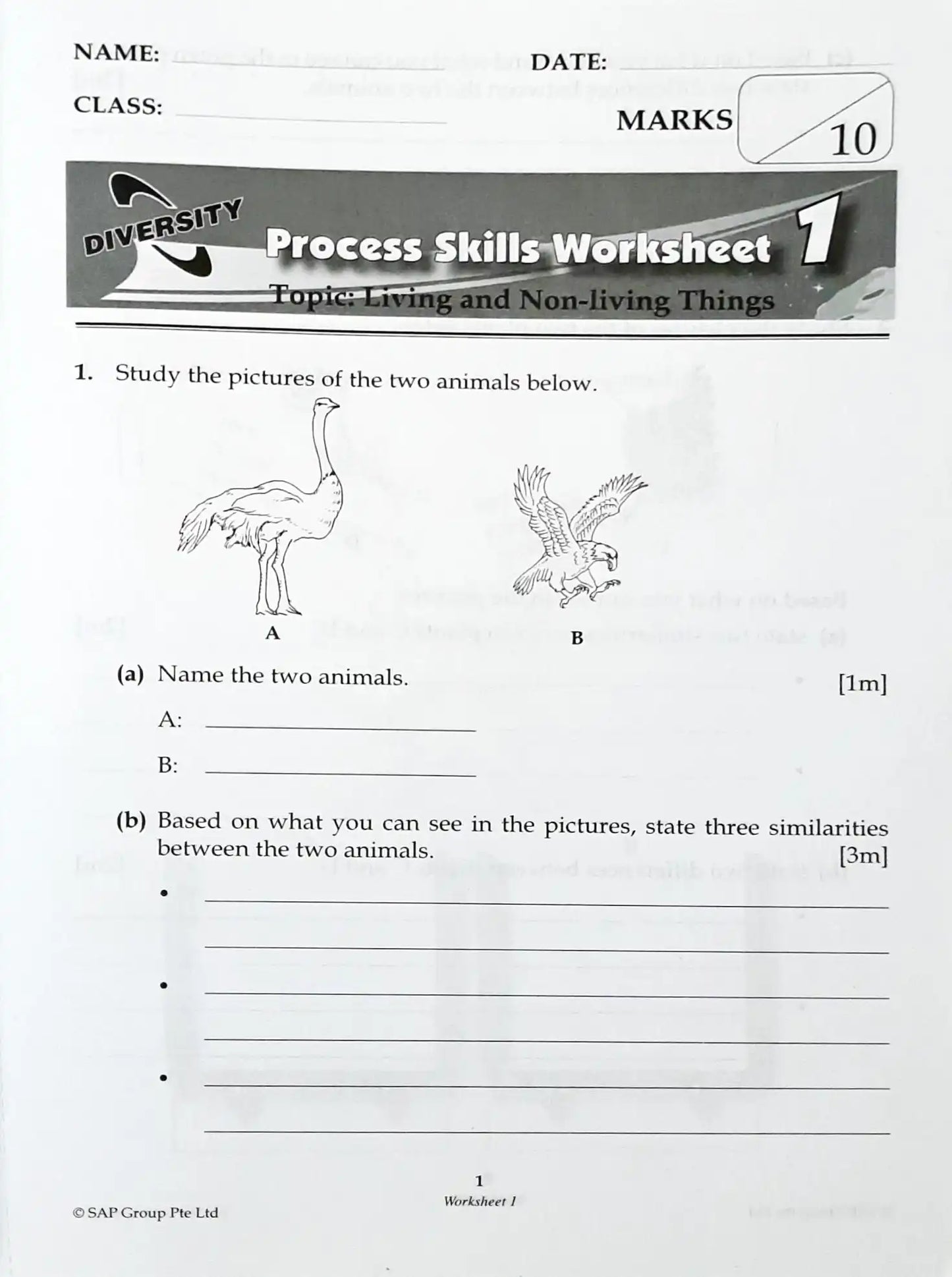 SAP Science Process Skills Lower Block 3/4