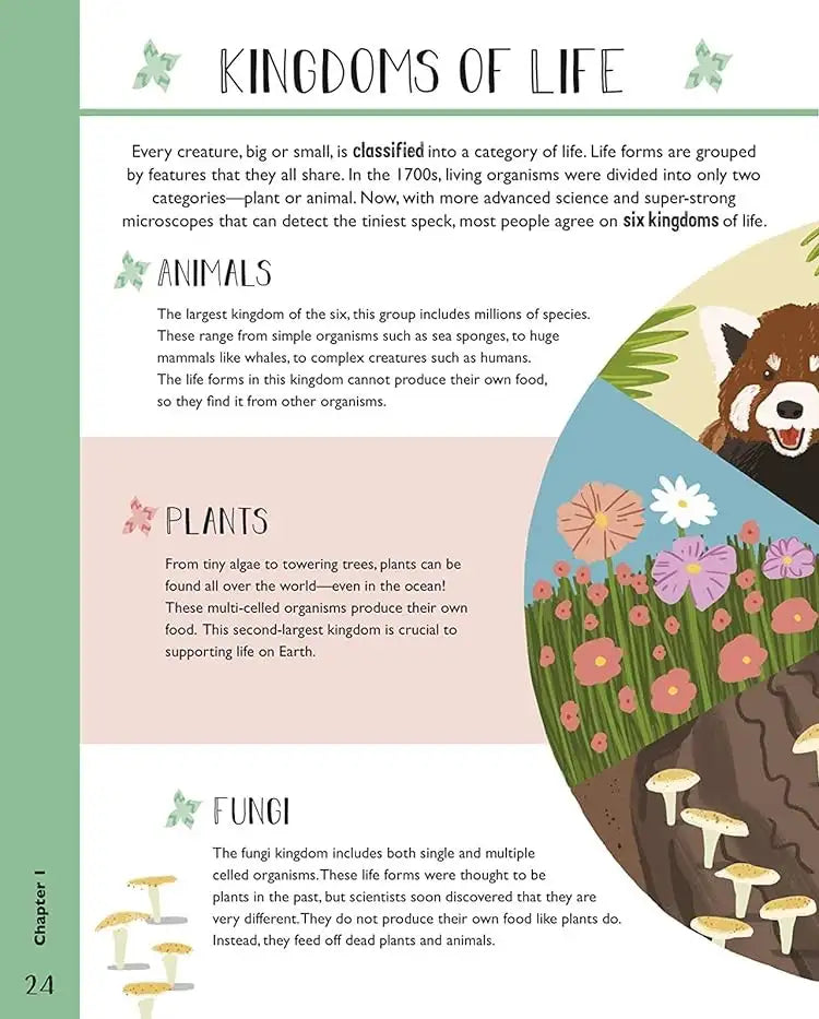 Science and Maths for Curious Kids | Hardcover