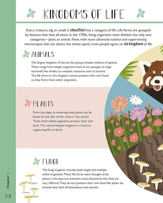 Science and Maths for Curious Kids | Hardcover