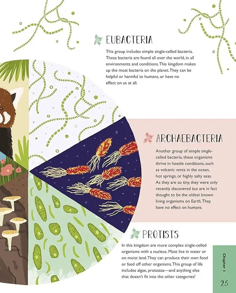 Science and Maths for Curious Kids | Hardcover