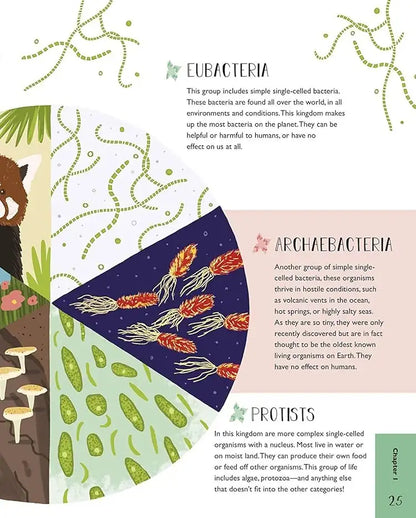 Science and Maths for Curious Kids | Hardcover