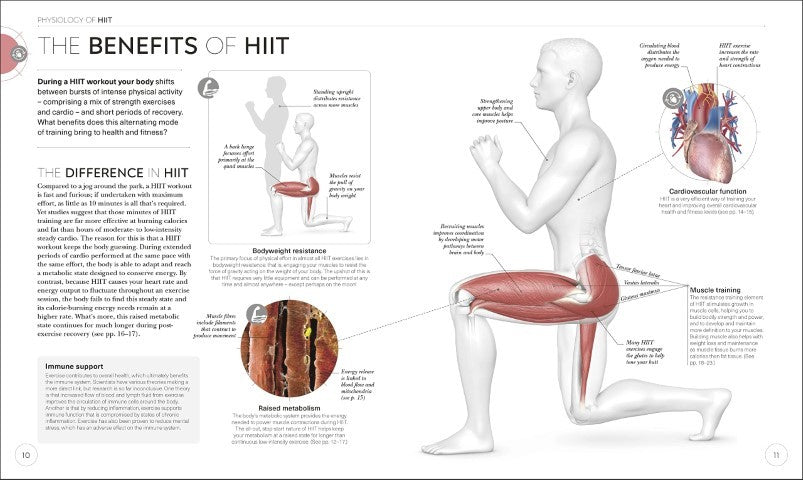 Science of HIIT Understand the Anatomy and Physiology to Transform Your Body