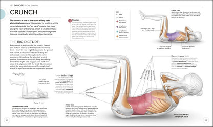 Science of HIIT Understand the Anatomy and Physiology to Transform Your Body