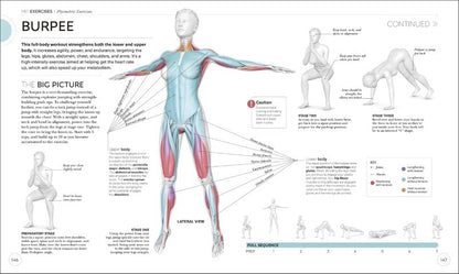 Science of HIIT Understand the Anatomy and Physiology to Transform Your Body