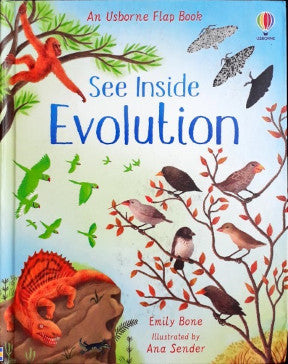 Evolution Books An Usborne Flap Book See Inside Evolution – Books and You