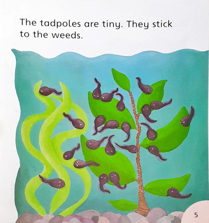 Oxford Reading Tree Phonics Songbirds Tadpoles (P)