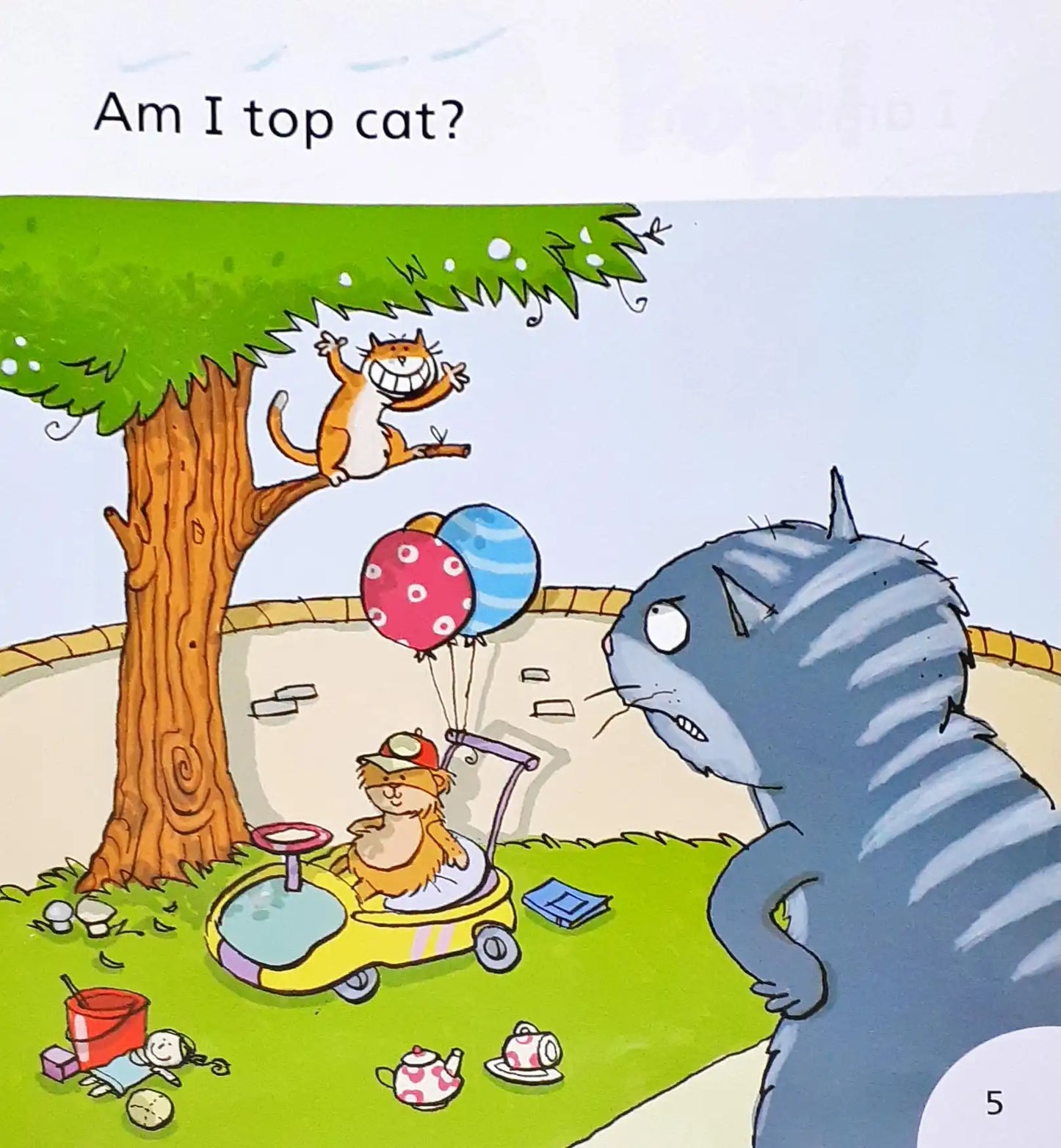 Oxford Reading Tree Phonics Songbirds Top Cat (P)