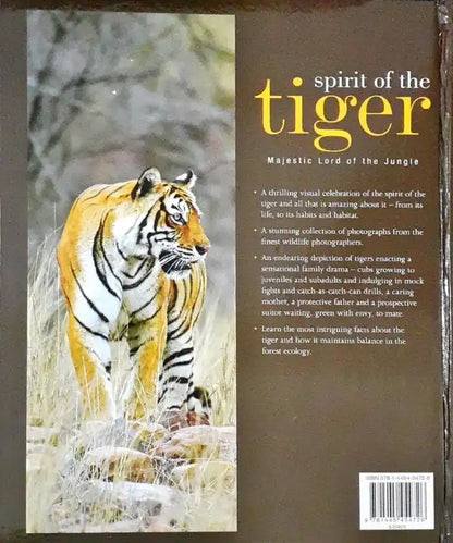 Spirit of the Tiger : Majestic Lord of the Jungle