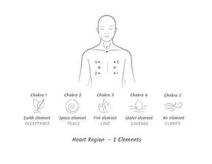 Special Edition Spiritual Anatomy | Hardcover
