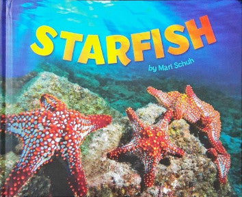 Sea Life Starfish