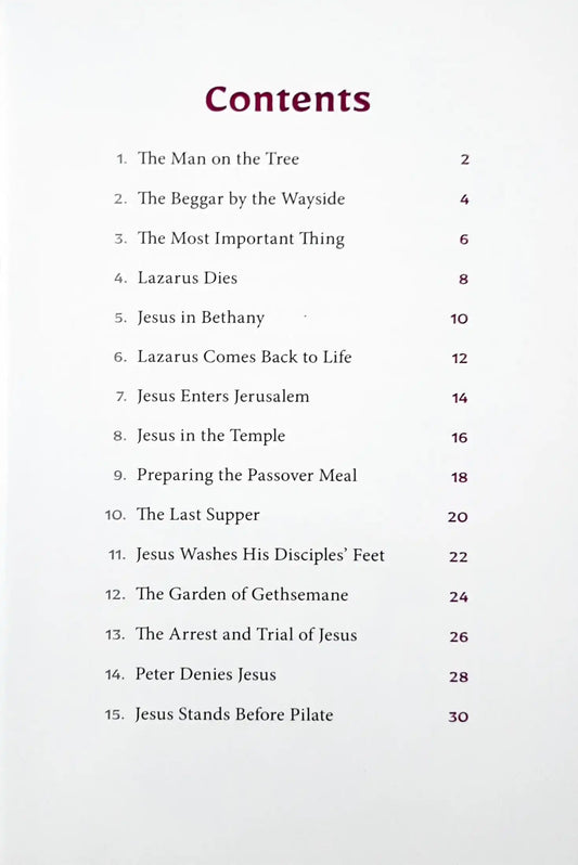 Jesus Enters Jerusalem and Other Stories : Stories from the Bible