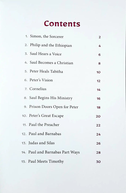 Peter's Vision and Other Stories : Stories from the Bible