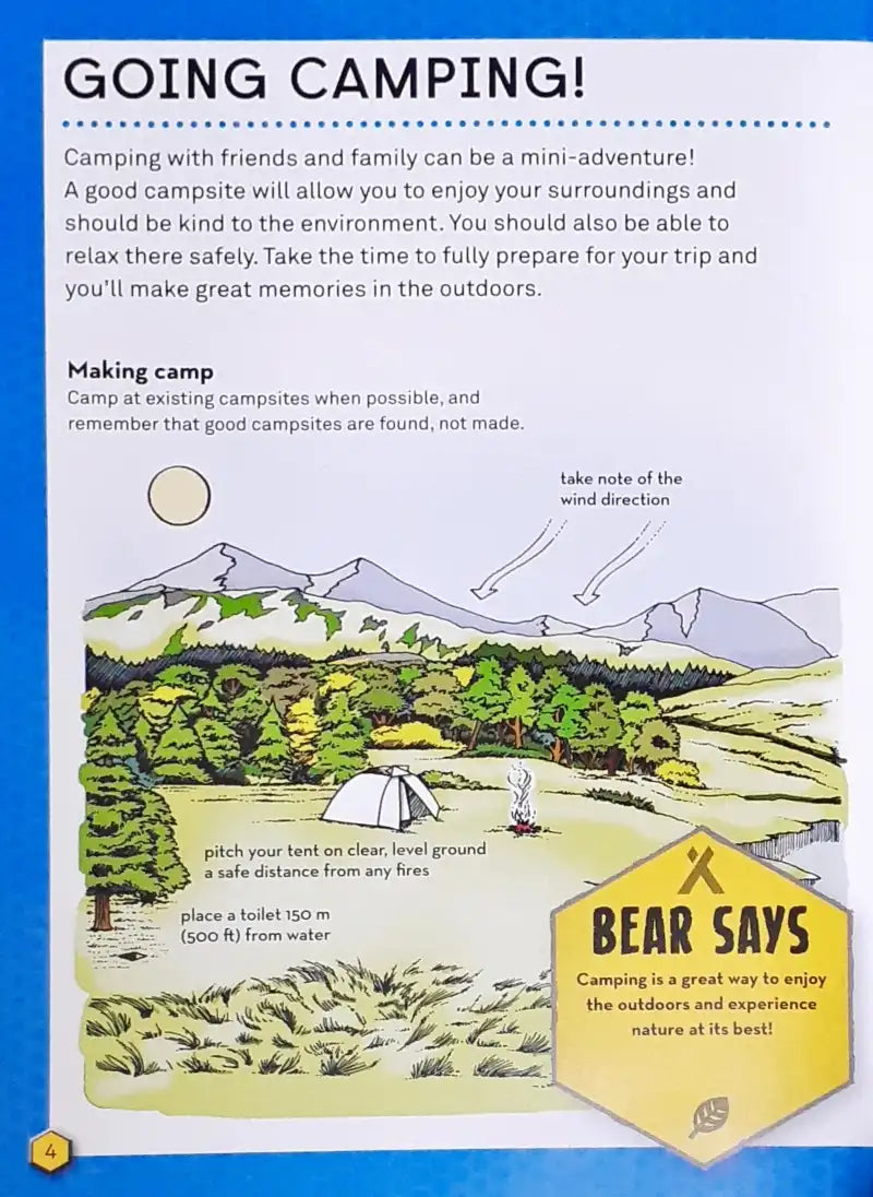 Bear Grylls Survival Skills Handbook Camping – Books And You