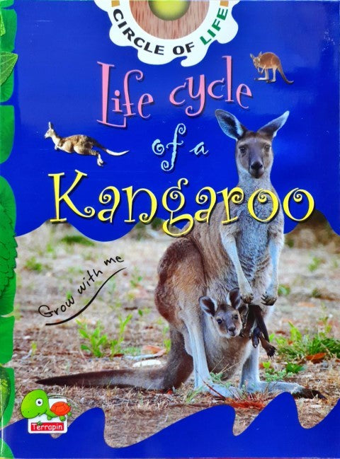 Circle of Life: Life Cycle of a Kangaroo