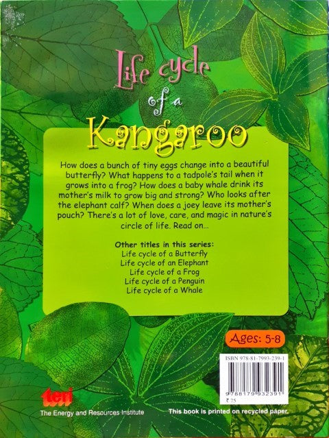 Circle of Life: Life Cycle of a Kangaroo