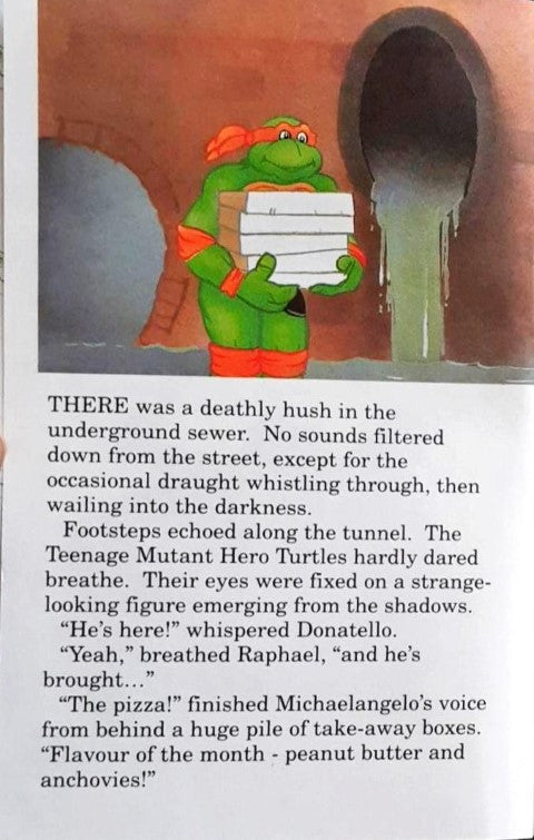 Teenage Mutant Hero Turtles Splinter No More