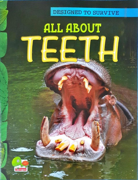 Designed to Survive: All About Teeth