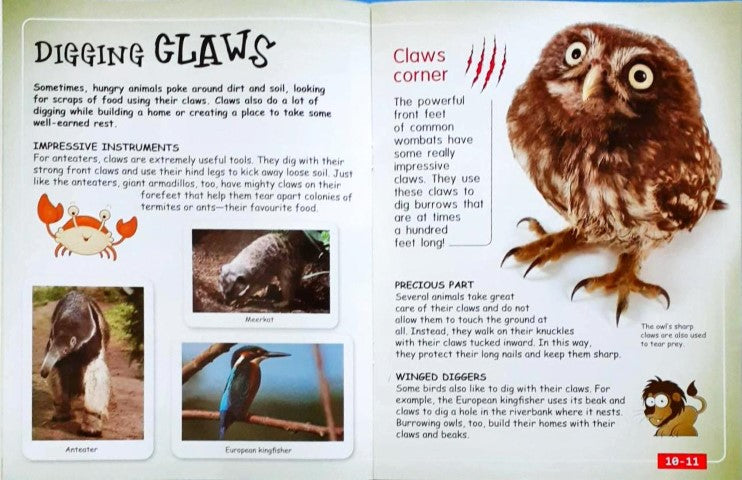 Designed to Survive: All About Claws