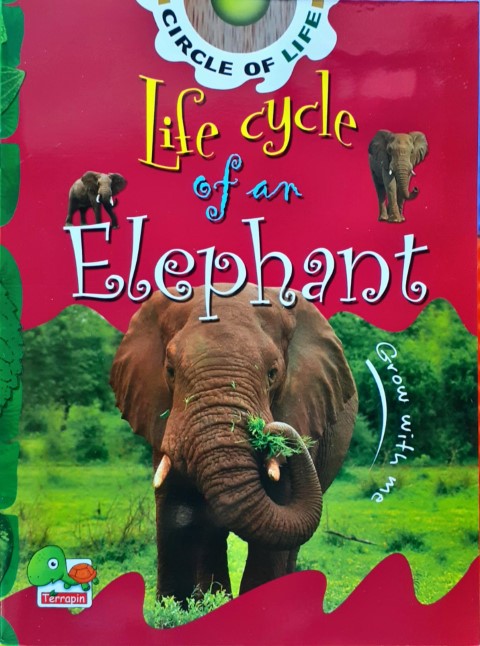 Circle of Life: Life Cycle of an Elephant