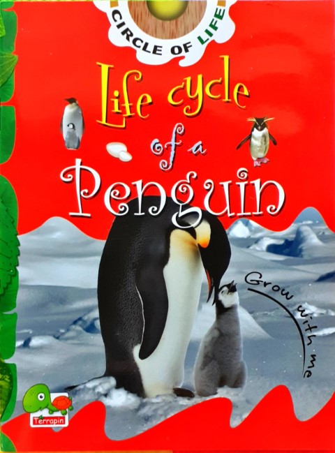 Circle of Life: Life Cycle of a Penguin