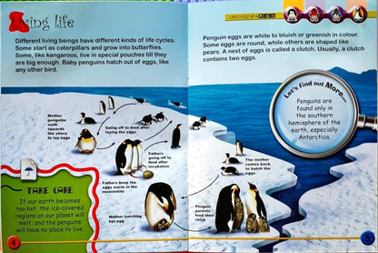 Circle of Life: Life Cycle of a Penguin