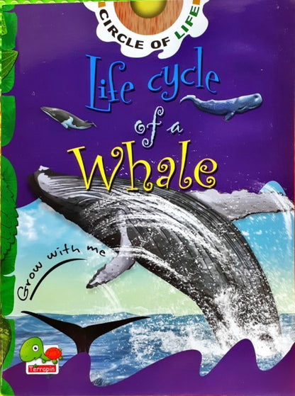 Circle of Life: Life Cycle of a Whale
