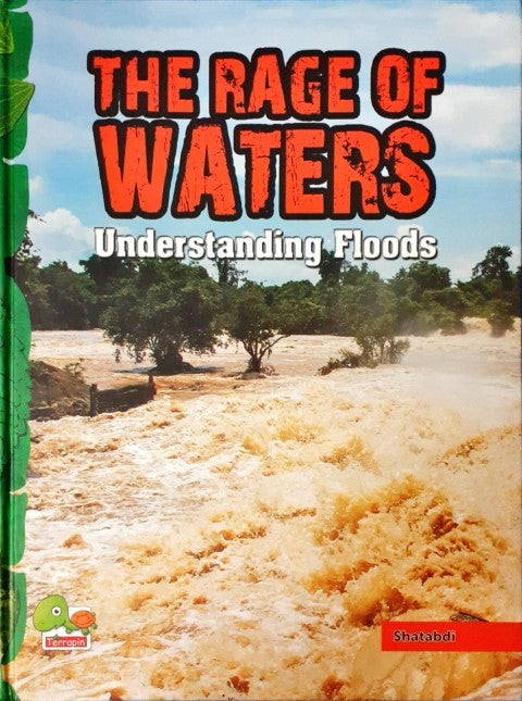 The Rage of Waters: Understanding Floods