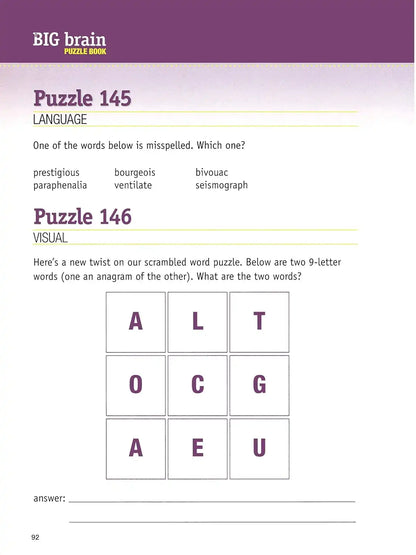 The Big Brain Puzzle Book