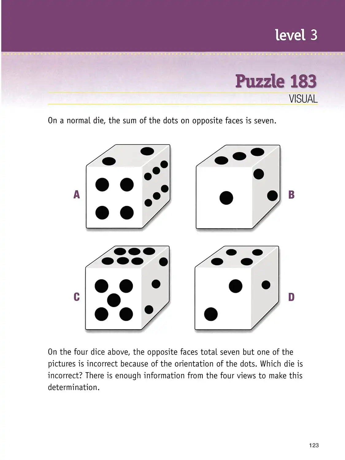 The Big Brain Puzzle Book