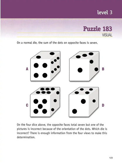 The Big Brain Puzzle Book