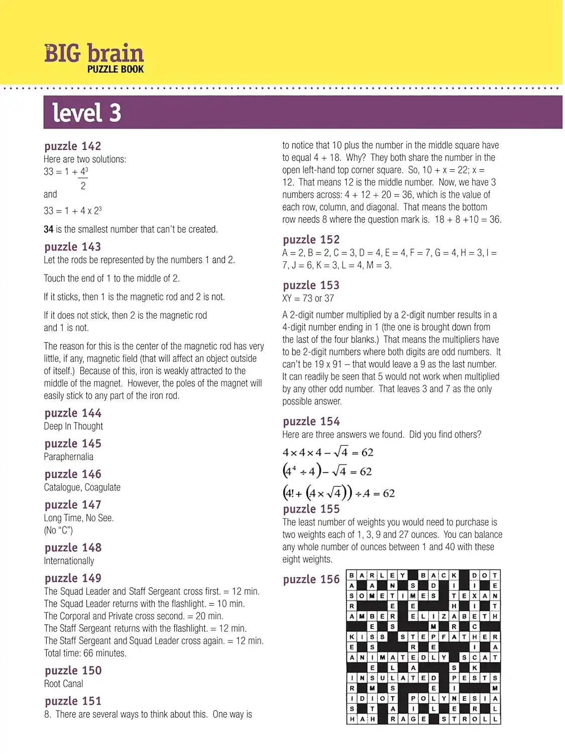 The Big Brain Puzzle Book