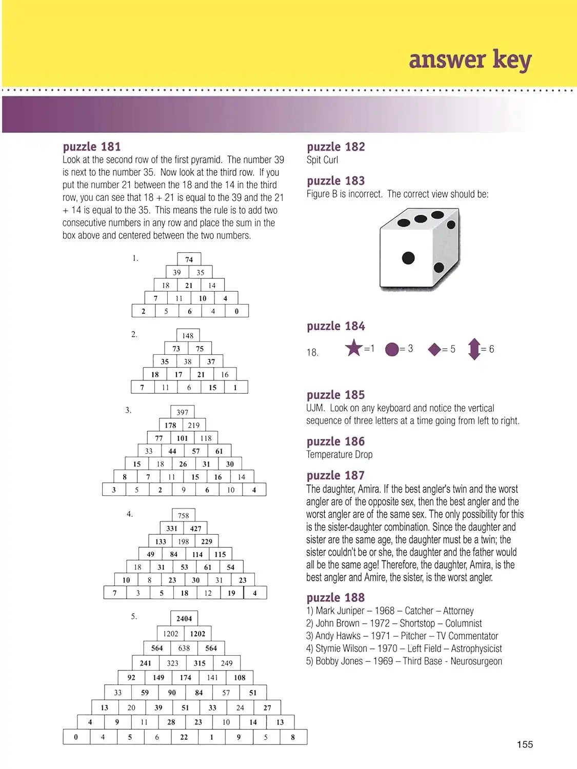 The Big Brain Puzzle Book