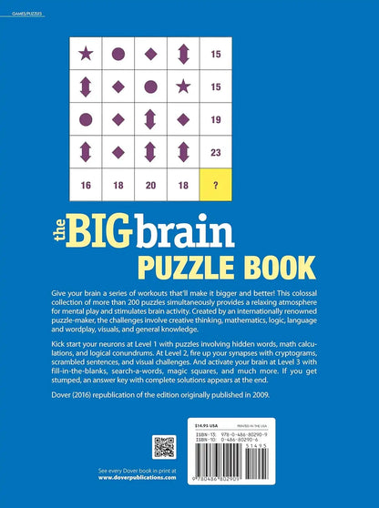 The Big Brain Puzzle Book