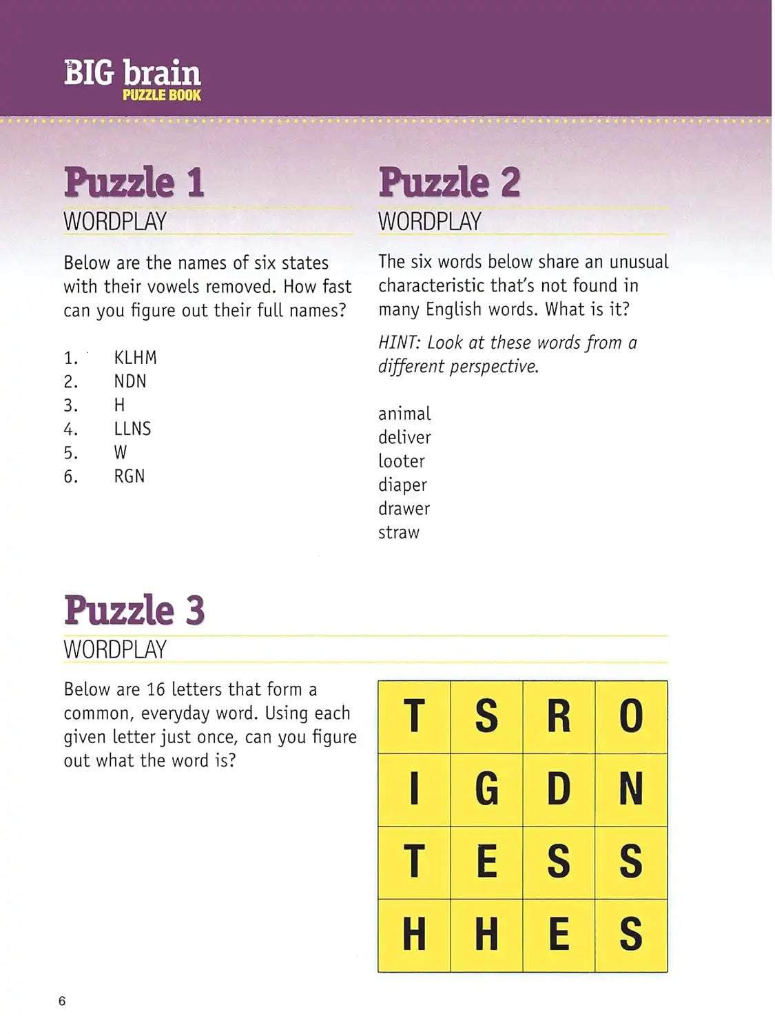 The Big Brain Puzzle Book