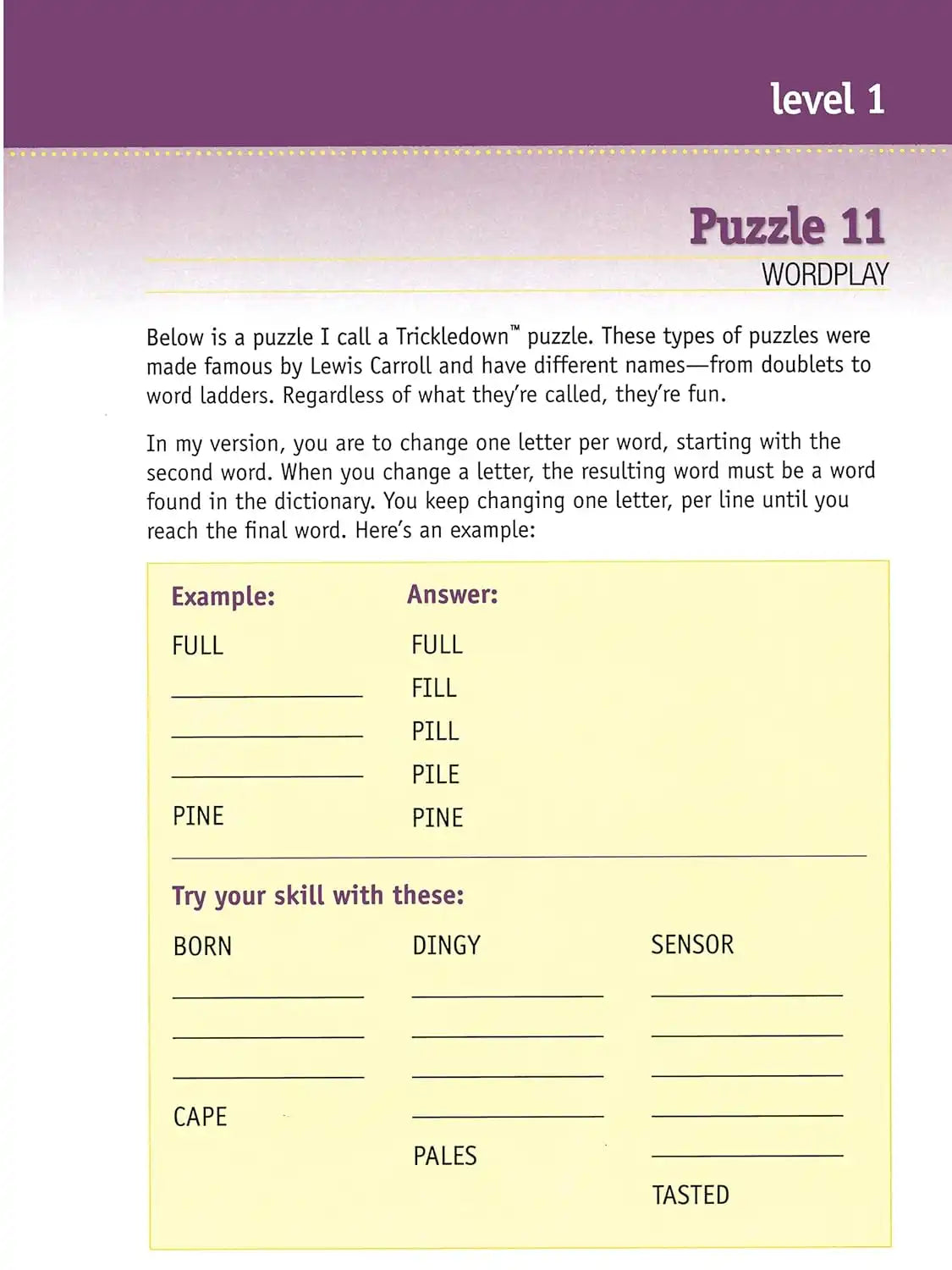 The Big Brain Puzzle Book
