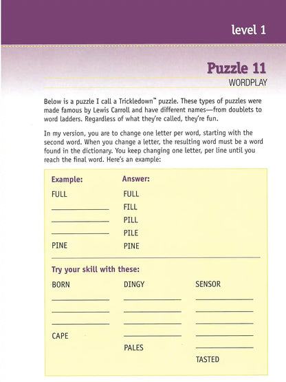 The Big Brain Puzzle Book