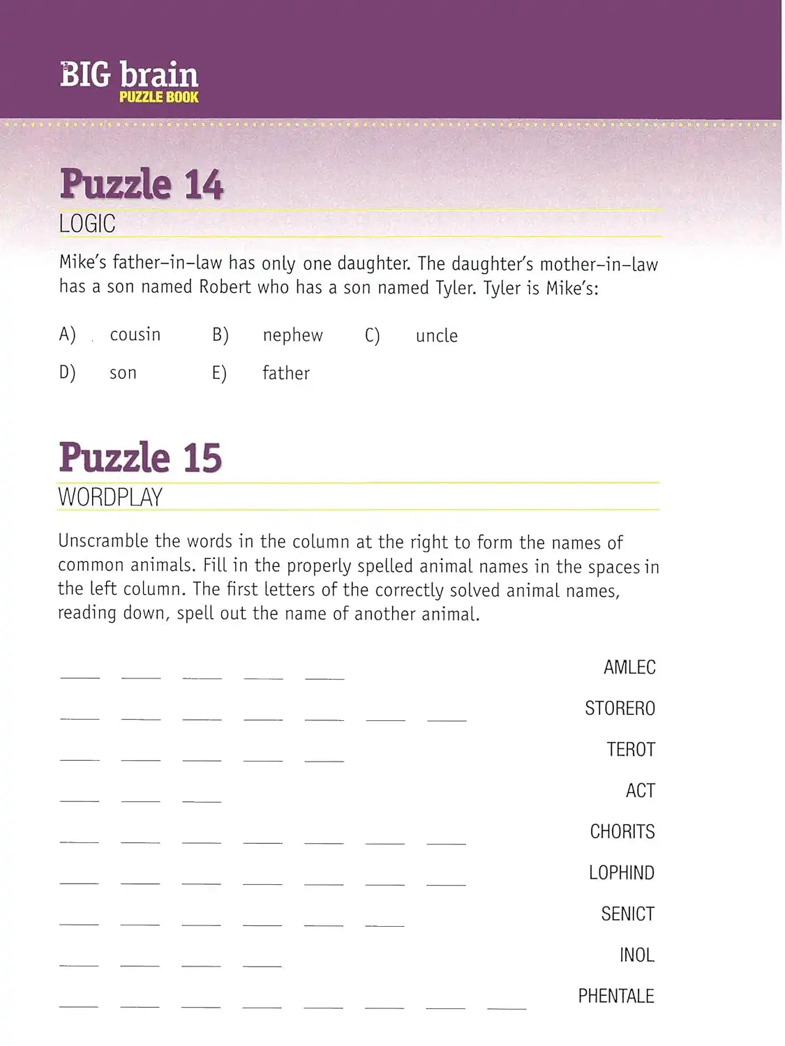 The Big Brain Puzzle Book