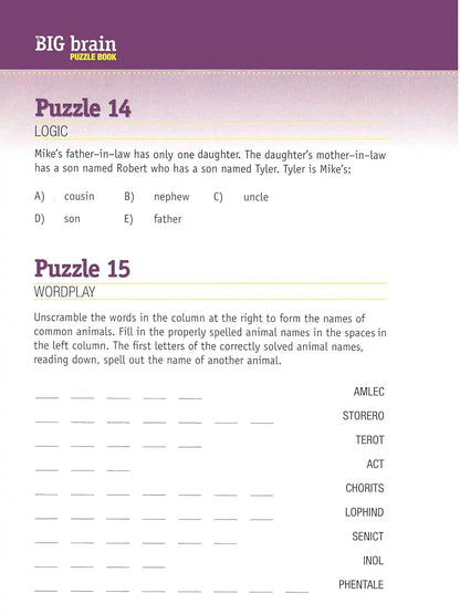 The Big Brain Puzzle Book