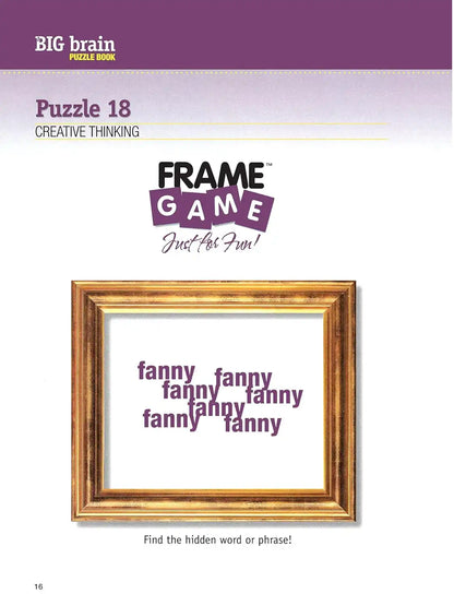 The Big Brain Puzzle Book