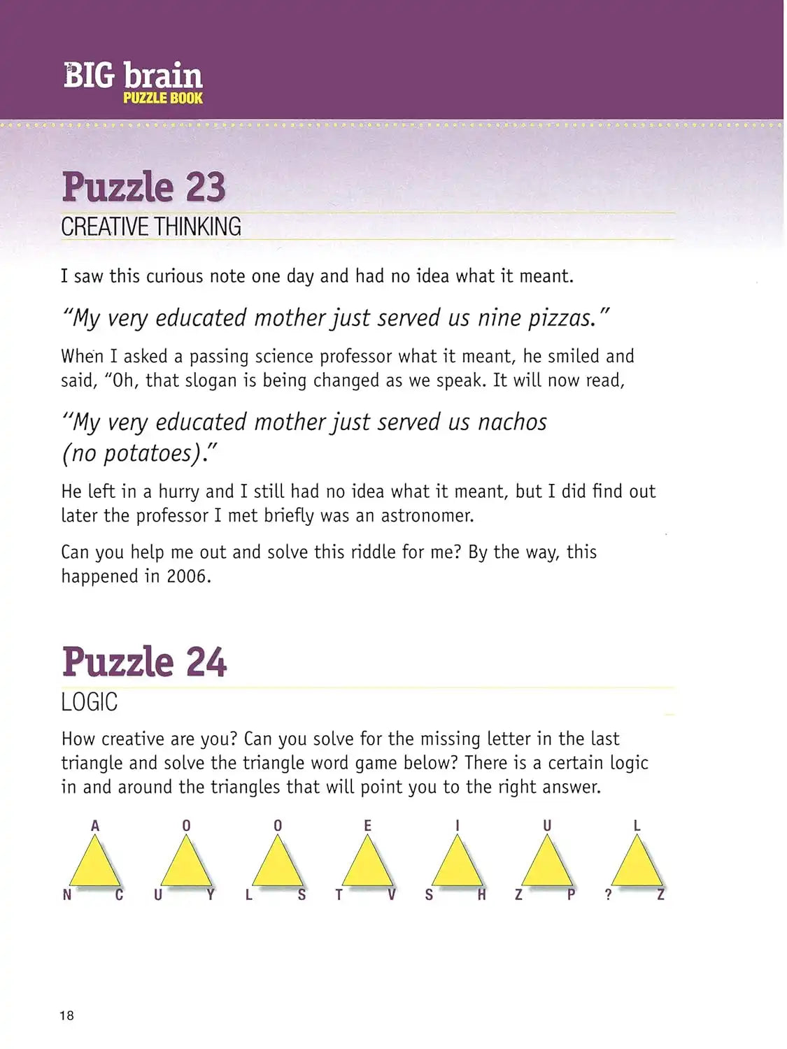 The Big Brain Puzzle Book