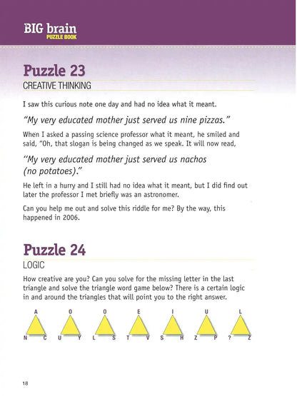 The Big Brain Puzzle Book