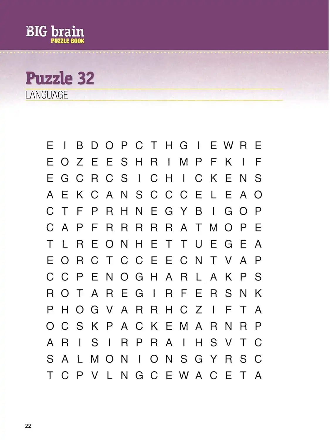 The Big Brain Puzzle Book