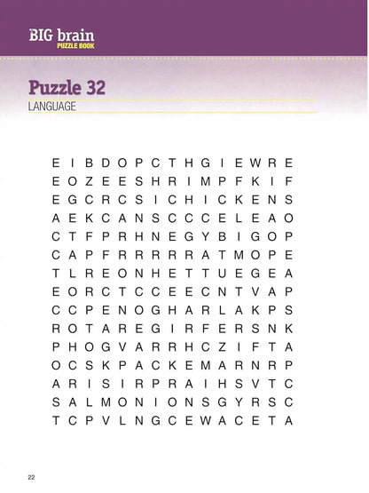 The Big Brain Puzzle Book