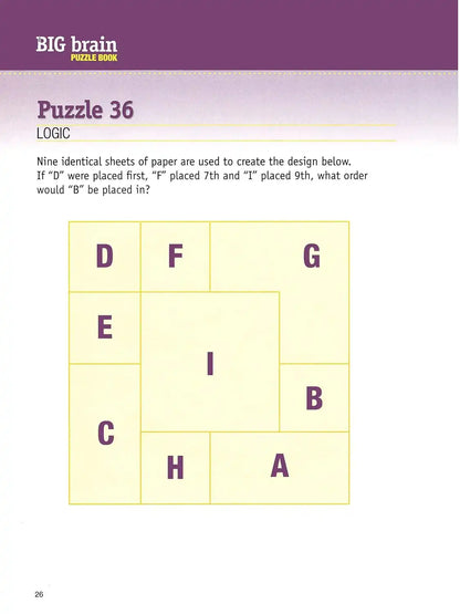 The Big Brain Puzzle Book